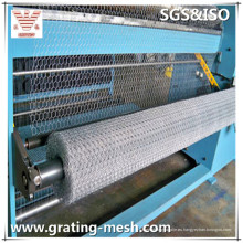 Galvanizado / PVC recubierto / Hexagonal Wire Mesh / Gabion Basket